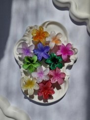 تصویر کلیپس پلومریا پک ۳ عددی 