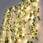 تصویر ریسه برگ پاپیتال 