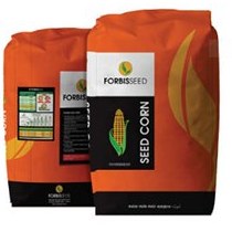 تصویر بذر ذرت هکتور Hektor corn seeds