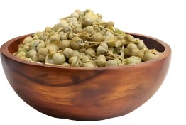 تصویر اسپند نخودی 