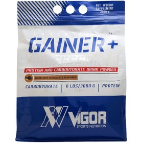 تصویر گینر پلاس ویگور 3کیلویی GSINER PLUS VIGOR 3 K