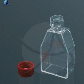 تصویر فلاسک کشت سلول چسبنده 25 سانتی‌متر مربع برند لب سلکت 25c Cell Culture Flask - Labselect