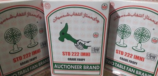 تصویر چای چکش سبز دوپنکه ۴۵۰ گرمی کارتن ۲۰ عددی 