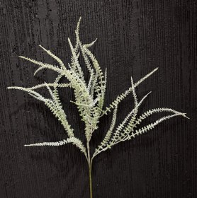 تصویر گیاه تزئینی یا خرج کار 