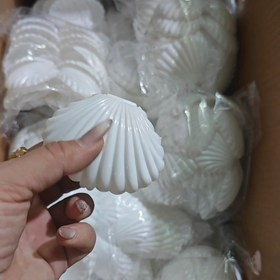 تصویر گیفت صدف سفید 