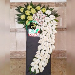 تصویر تاج گل یاسمینا 