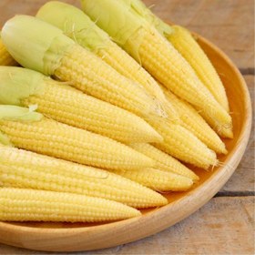 تصویر کنسرو بیبی کرن ( بچه بلال ) ۴۸۰ گرمی ا Baby corn Baby corn