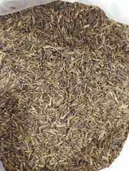تصویر زیره سیاه 2 پلویی - ۱۰۰ گرم / آسیاب شده Grade 2 black cumin for rice
