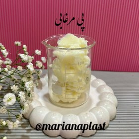 تصویر پی مرغابی 