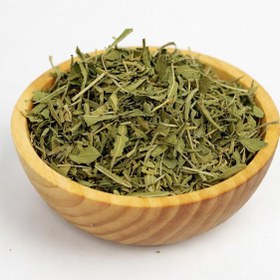 تصویر مریم گلی 