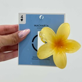 تصویر کلیپس پلومبریا 