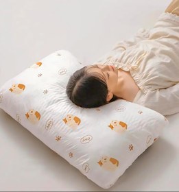 تصویر روبالشتی مسافرتی Robaleshti mosaferati