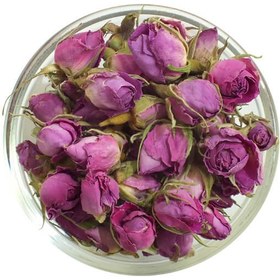 تصویر غنچه گل محمدی 