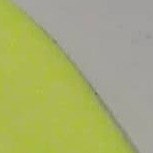 تصویر کد063(زرد فلور) 