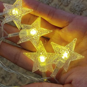 تصویر ریسه ستاره آفتابی 