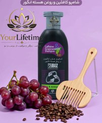 تصویر شامپو دکتر بیز کافئین و روغن هسته انگور حجم ۳۰۰ میلی لیتر مناسب موهای خشک 