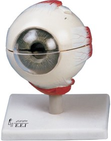 تصویر مولاژ کره چشم 