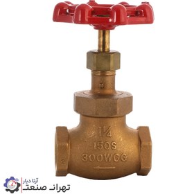 تصویر شیر سوزنی برنجی 