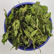 تصویر بادرنجبویه 