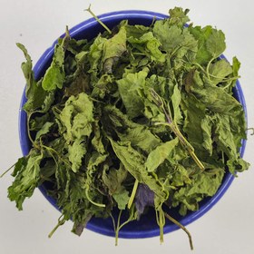 تصویر بادرنجبویه 