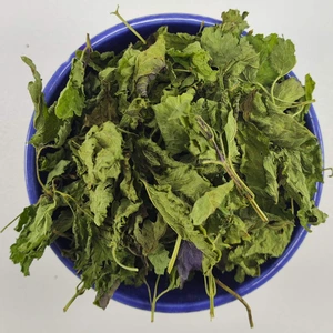 تصویر فروشگاه ایران سنتلا