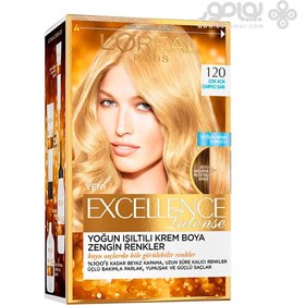 تصویر کیت رنگ موی لورال پاریس مدل Excellence شماره 120 
