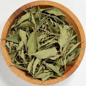 تصویر برگ سنا 