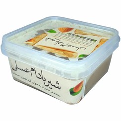 تصویر شیر بادام عسلی فدک (تهیه شده از بادام درختی ایرانی و عسل) 