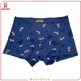 تصویر شورت پادار مردانه MENS SHORTS