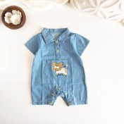 تصویر رامپر جین پسرانه-ایراددار 