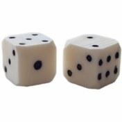 تصویر تاس استخوان شتر 