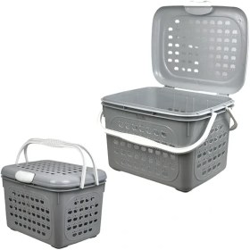 تصویر سبد پیک نیک سیب اشکان 