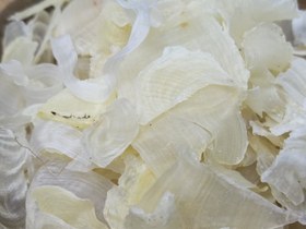 تصویر کتیرا گل فله ای 