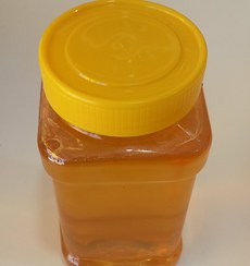 تصویر عسل تغذیه به شرط تولید زنبور یک کیلو 