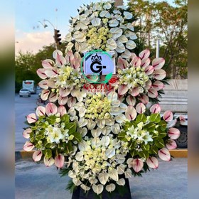 تصویر تاج گل آسنات‌ 