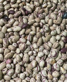 تصویر لوبیا چیتی دستچین (10کیلویی) 