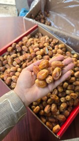 تصویر خرما زاهدی - لوکس 