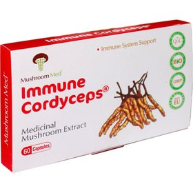 تصویر ایمیون کوردیسپس (قارچ دارویی) ماشروم مد 60 کپسول Immune Cordyceps Mushroom Med 60 Caps