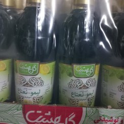 تصویر شربت گیاهی موهیتو(لیمونعنا) گل بهشت محصولی از کاشان 