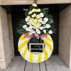 تصویر تاج گل درباری هور 