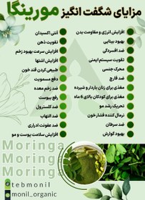 تصویر کپسول مورینگا Moringa