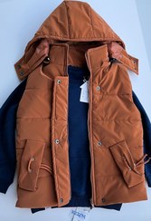 تصویر پافر بچگانه 