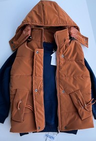 تصویر پافر بچگانه 