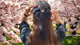 تصویر گل سر پاپیونی فرانسوی 