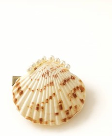 تصویر گیره مو طرح صدف 