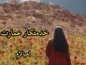 تصویر دانلود رمان خدمتکار عمارت از لعیا لام 