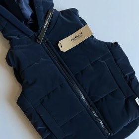 تصویر پافر و بادی بگ 