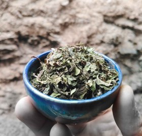 تصویر پونه کوهی 