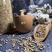 تصویر تخم گشنیز 