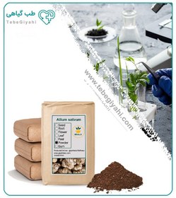 تصویر پودر سیر سیاه فله 